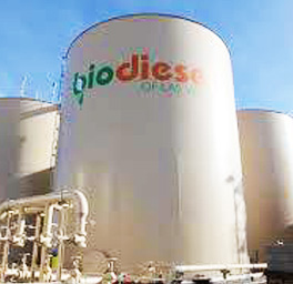 Recycle into Biodiesel